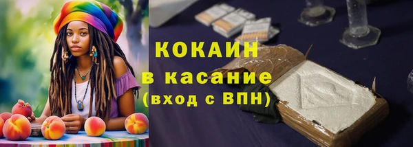шишки Армянск