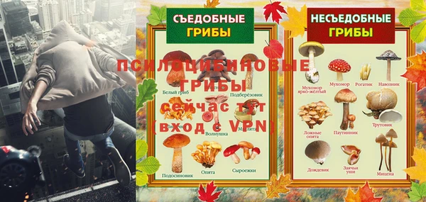 шишки Армянск