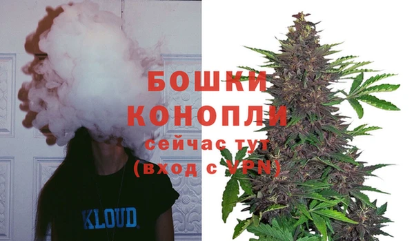 шишки Армянск