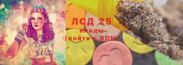 шишки Армянск