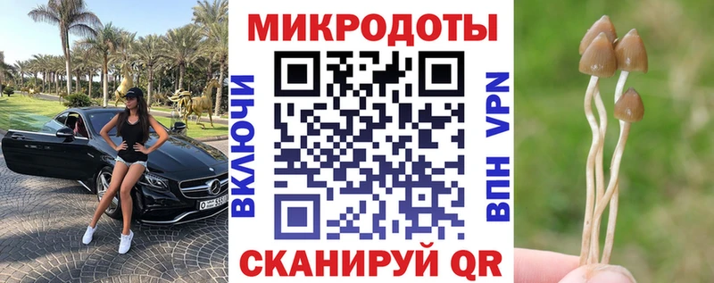 Купить  Буинск  Псилоцибиновые грибы мухоморы 